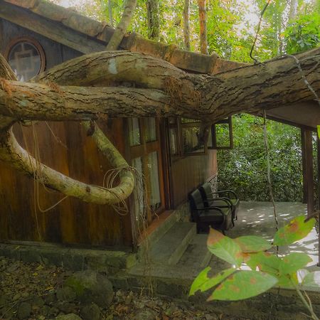 Forest Floor Lodge Cat Tien Εξωτερικό φωτογραφία
