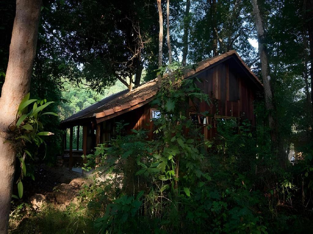 Forest Floor Lodge Cat Tien Εξωτερικό φωτογραφία