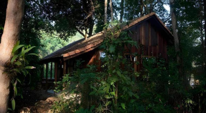 Forest Floor Lodge Cat Tien Εξωτερικό φωτογραφία