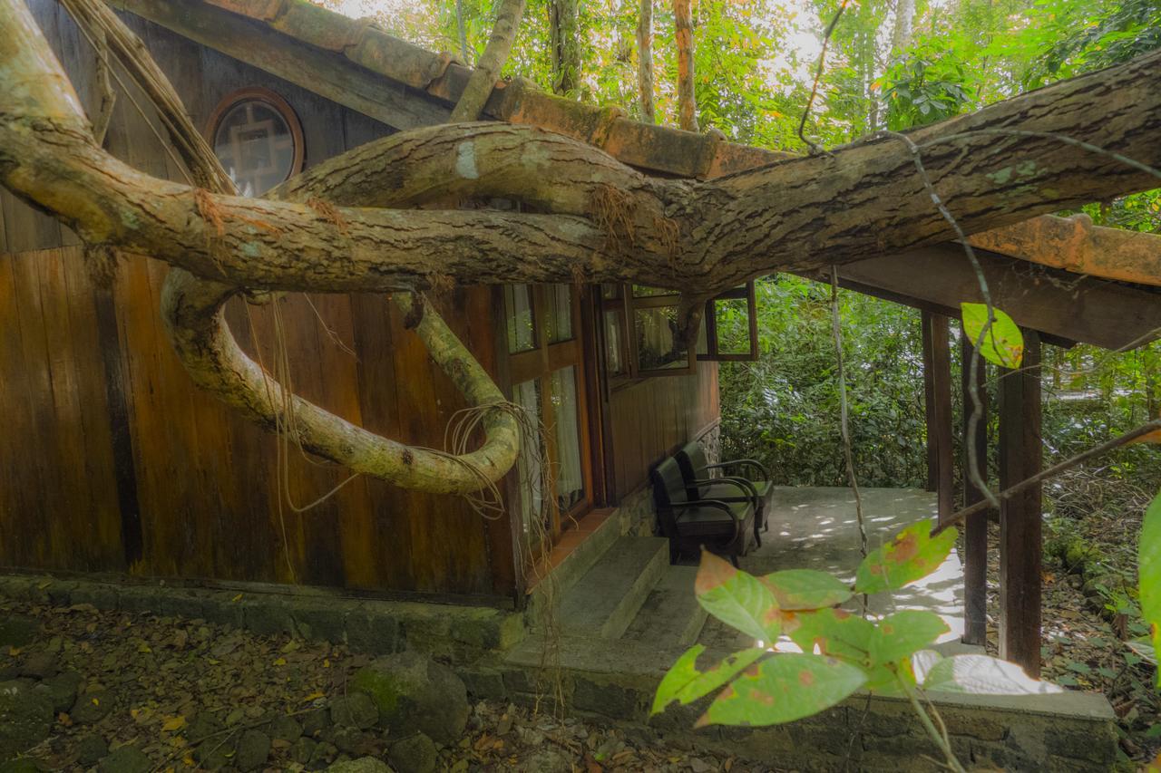 Forest Floor Lodge Cat Tien Εξωτερικό φωτογραφία